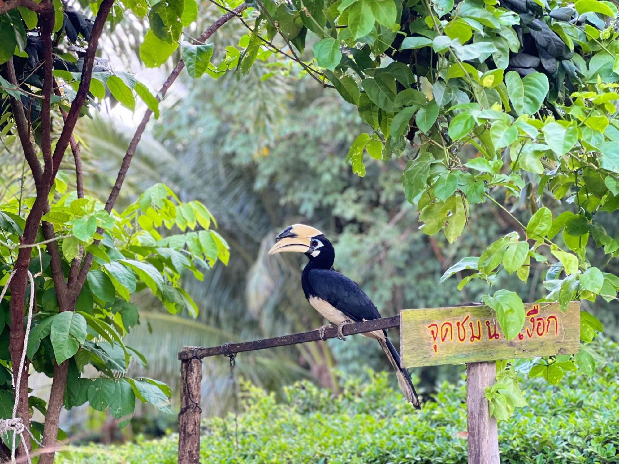 Baan Plai Laem Homestay Koh Phaluai المظهر الخارجي الصورة