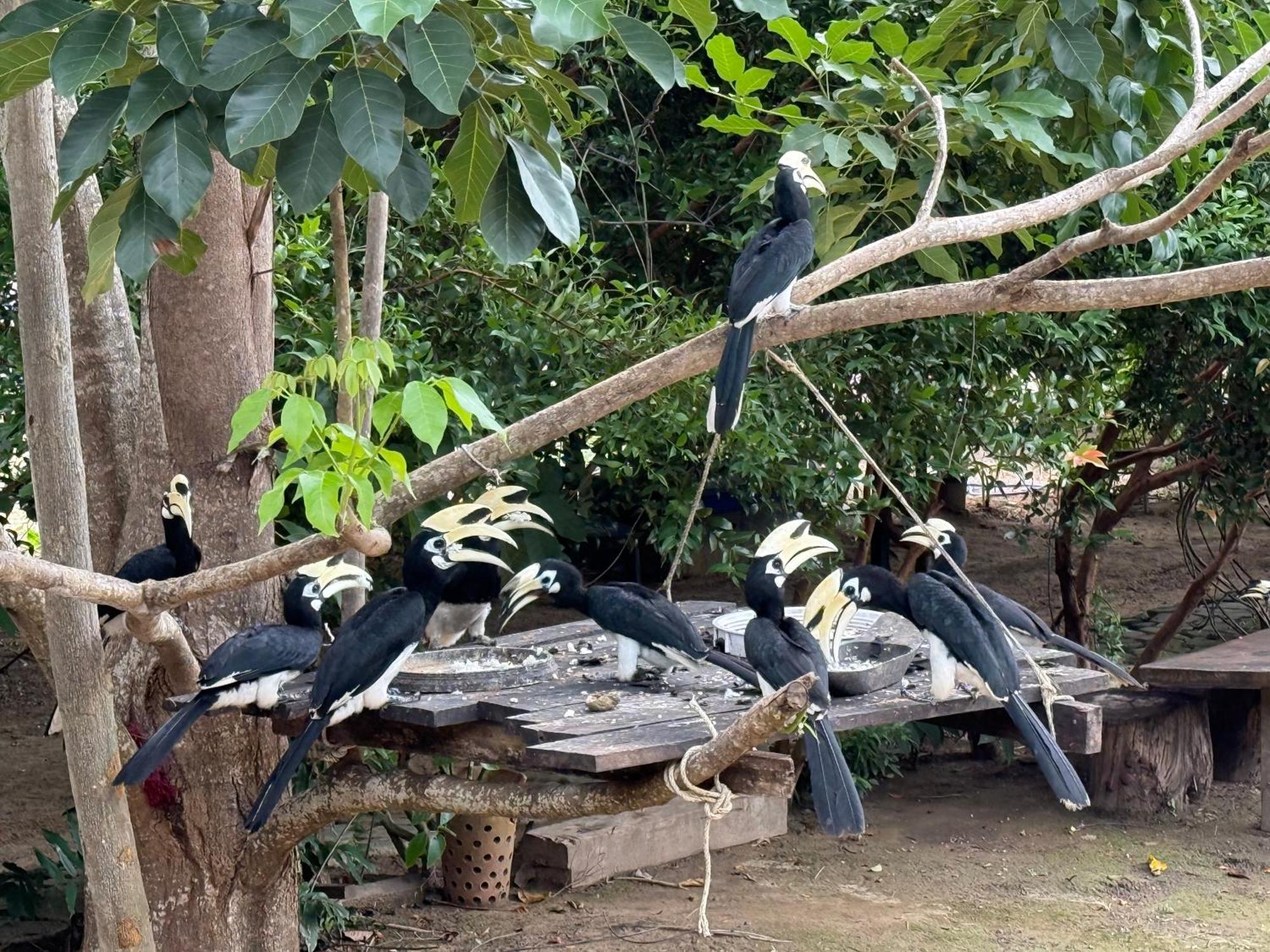 Baan Plai Laem Homestay Koh Phaluai المظهر الخارجي الصورة